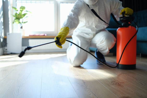 Reliable Odor Removal contractor in Allenspark, CO by Trauma Clean Pros